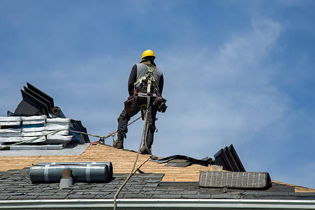 Professional Roof Replacement technician working in Pedro, OH